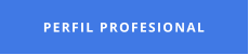 PERFIL PROFESIONAL