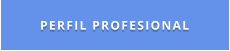 PERFIL PROFESIONAL